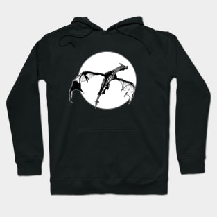 There Be Dragons Hoodie